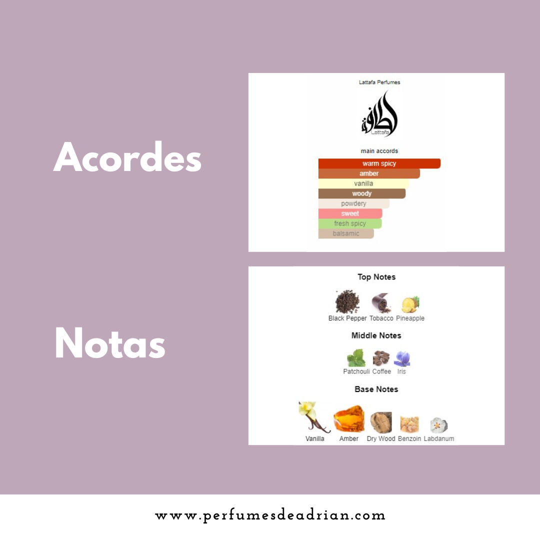 Lattafa Asad - Perfumes de Adrian