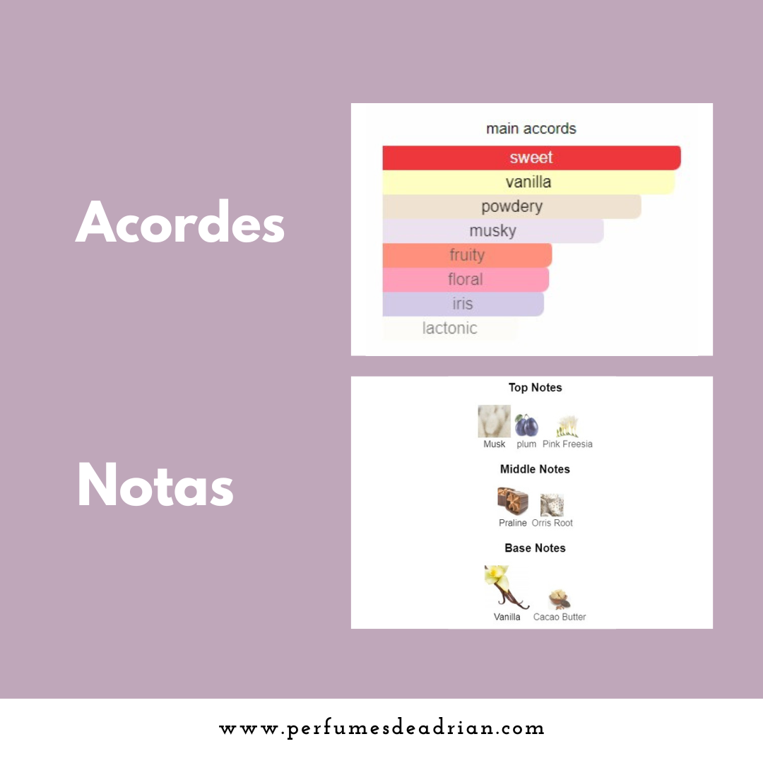 Mod Vanilla Ariana Grande - Perfumes de Adrian