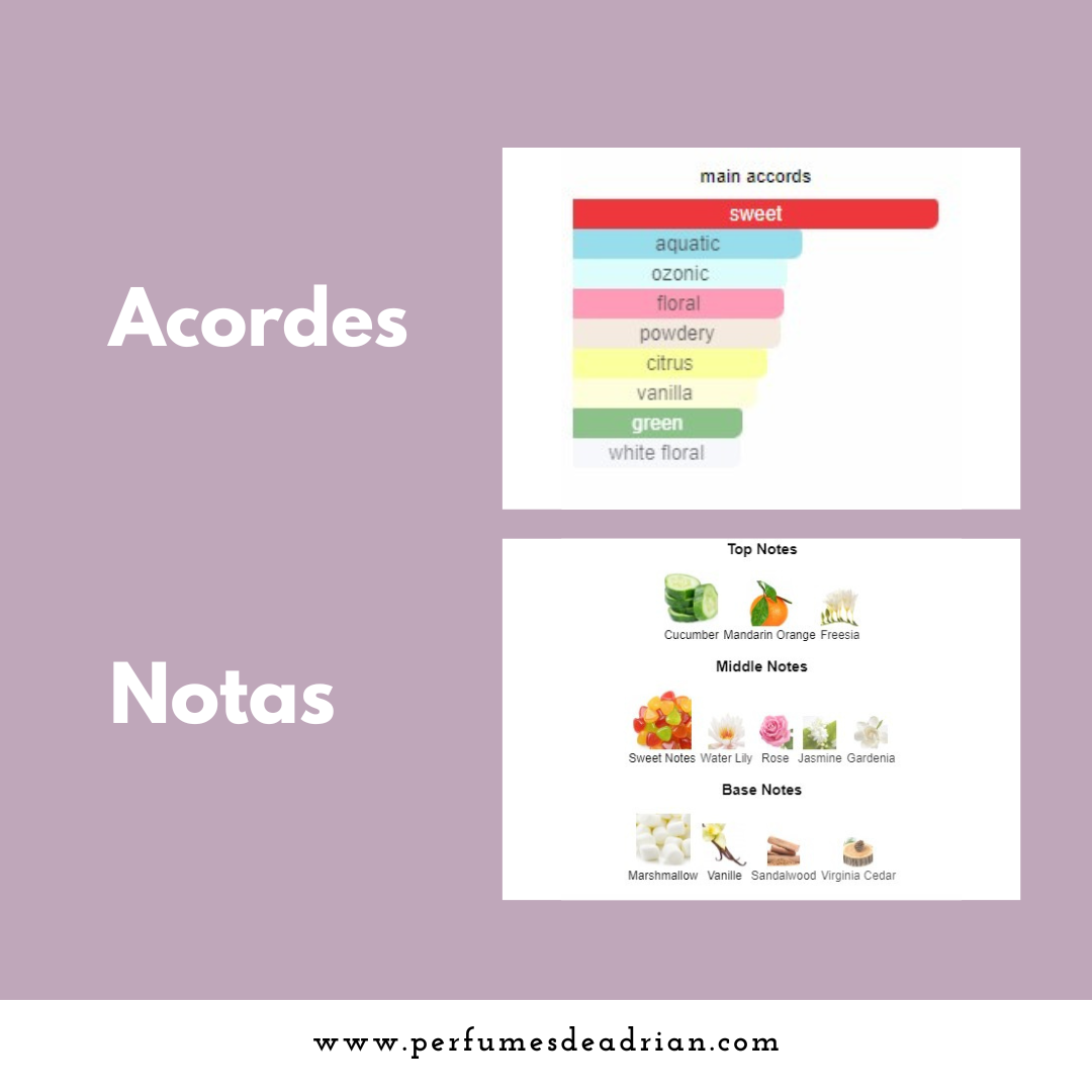 Coach Poppy - Perfumes de Adrian