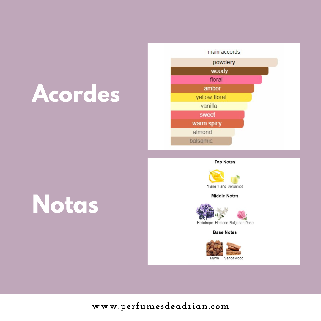 Initio Psychedelic Love Notes Pyramid Infographic - Perfumes de Adrian