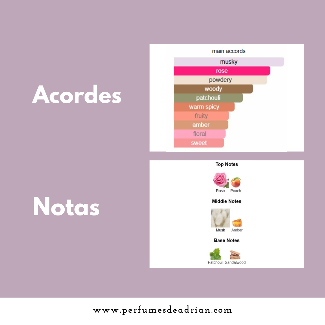 Narciso Rodriguez For Her Notes Pyramid Infographic - Perfumes de Adrian