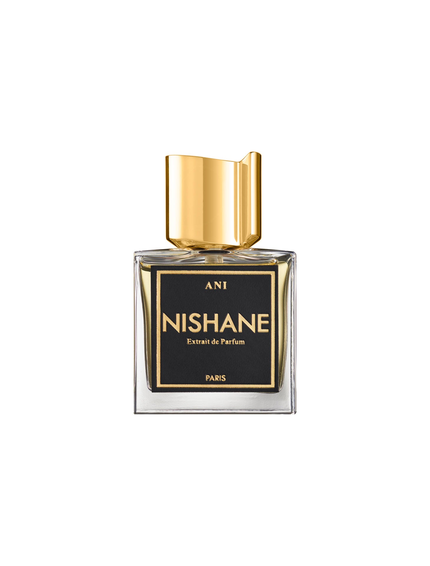 Ani by Nishane Perfume Bottle – 3.4OZ - Perfumes de Adrian